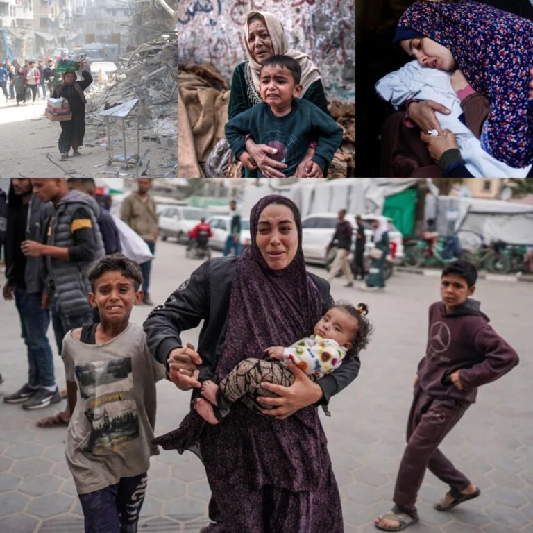 في اليوم الوطني للمرأة الفلسطينية: معاناة كبيرة وظروف هي الأخطر والأشد قسوة منذ عقود