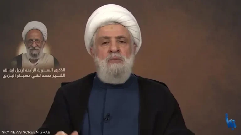 نعيم قاسم: وقف إطلاق النار بغزة “دليل على صمود المقاومة”