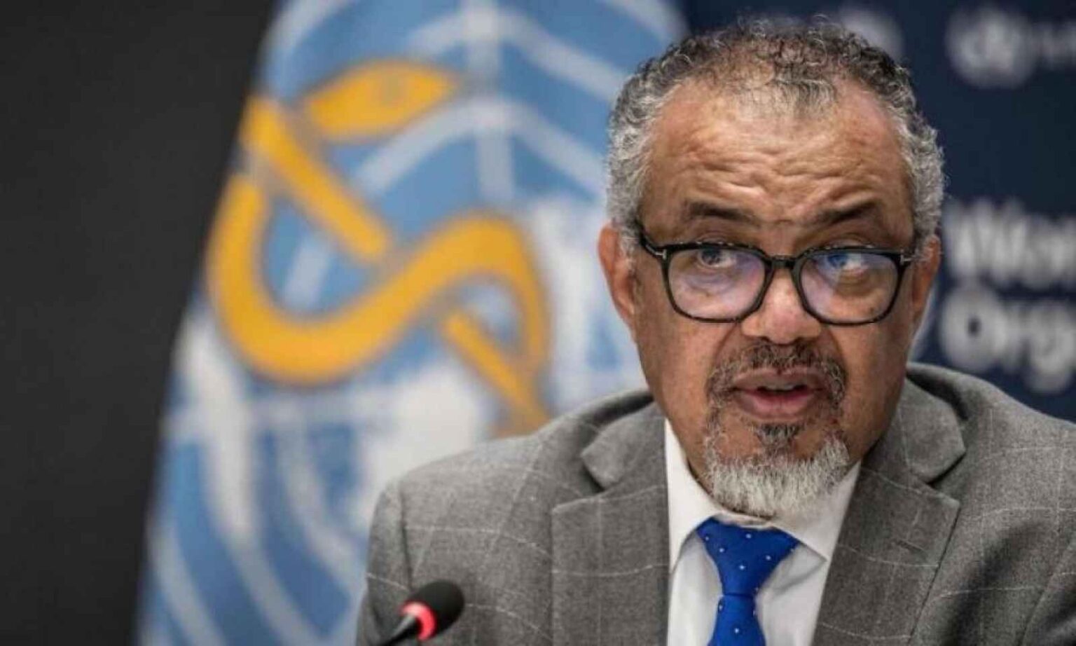 الصحة العالمية: منع 75% من بعثات الأمم المتحدة من دخول غزة