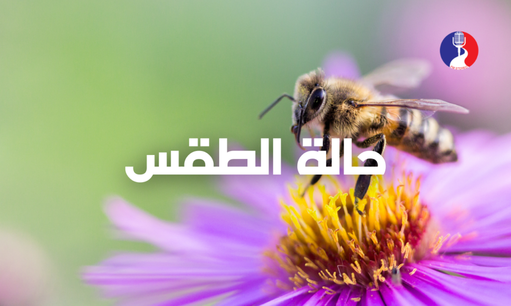 الطقس: أجواء خماسينية والحرارة أعلى من معدلها بـ8 درجات مئوية