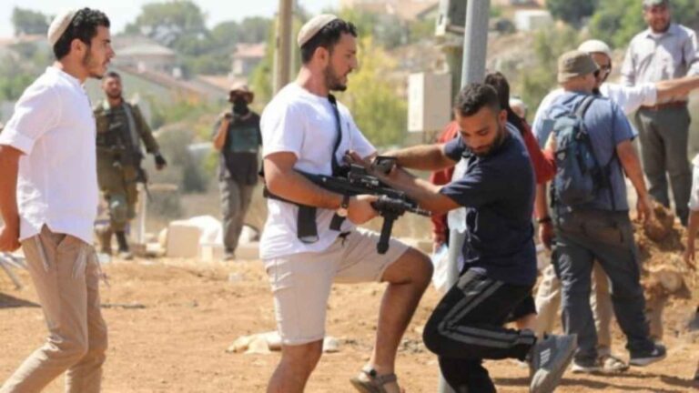 مستوطنون يهاجمون قرية خلة الضبع والاحتلال يعتقل مواطنا في مسافر يطا