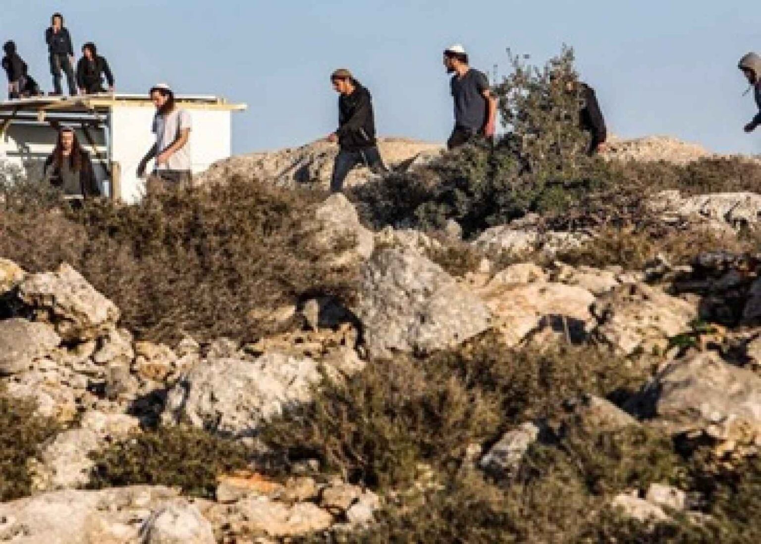 مستوطنون يقتحمون تجمع العوجا شمال أريحا