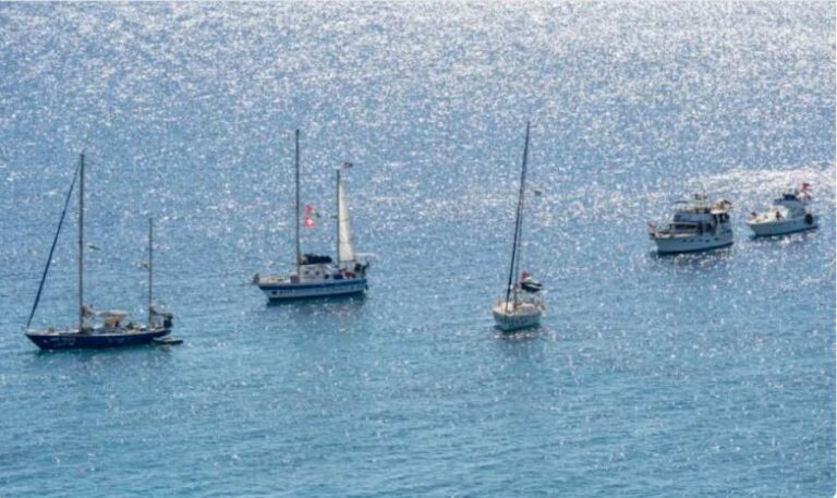 أسطول “الصمود” يدعو إلى المشاركة في مواكبة سفنه إلى غزة