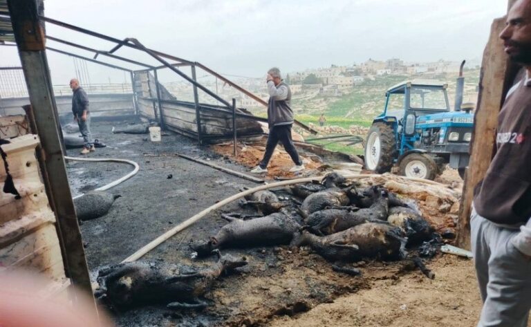 حريق يلتهم مزرعة للأغنام في السموع ويتسبب بنفوق عشرات الأغنام