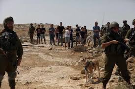 إصابات جراء اعتداء مستوطنين على المواطنين شمال شرق طوباس