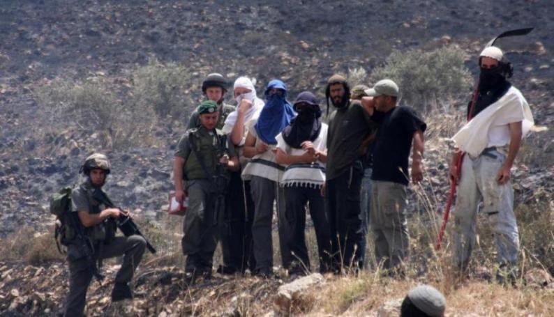 3 إصابات باعتداء مستوطنين على مواطنين في رابا شرق جنين
