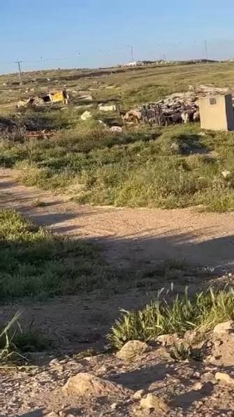 مستعمرون يخربون أراضٍ زراعية في خربة مسعود جنوب جنين