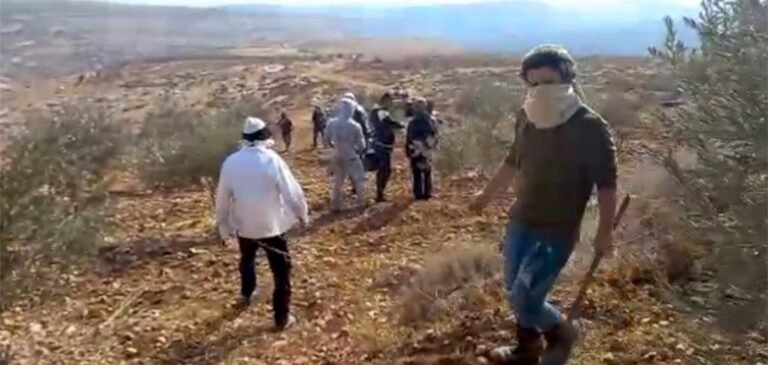 مستوطنون يهاجمون مزارعين خلال قطف الزيتون في أودلا جنوب نابلس