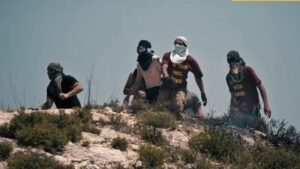 مستوطنون يرعون الأغنام المسروقة في المغير