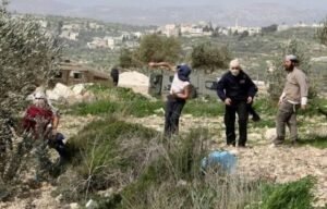 إصابة طفل جراء اعتداء مستعمرين عليه في بيتا جنوب نابلس